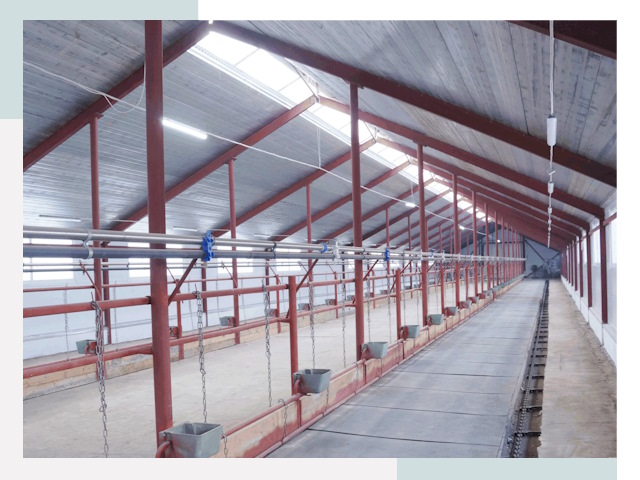 Строительство коровников в Томске от 656 руб.