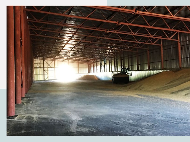 Строительство зернохранилищ в Томске