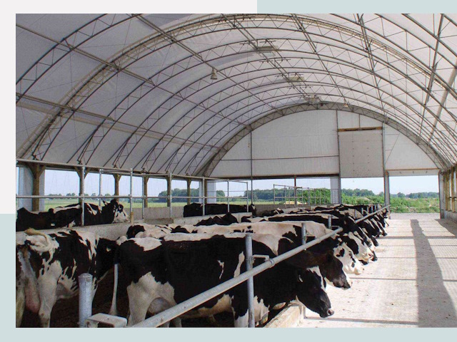 Тентовые коровники в Томске