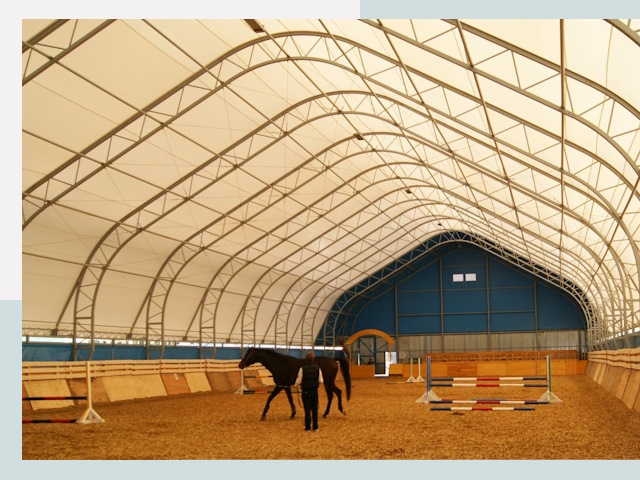 Строительство конных манежей в Томске